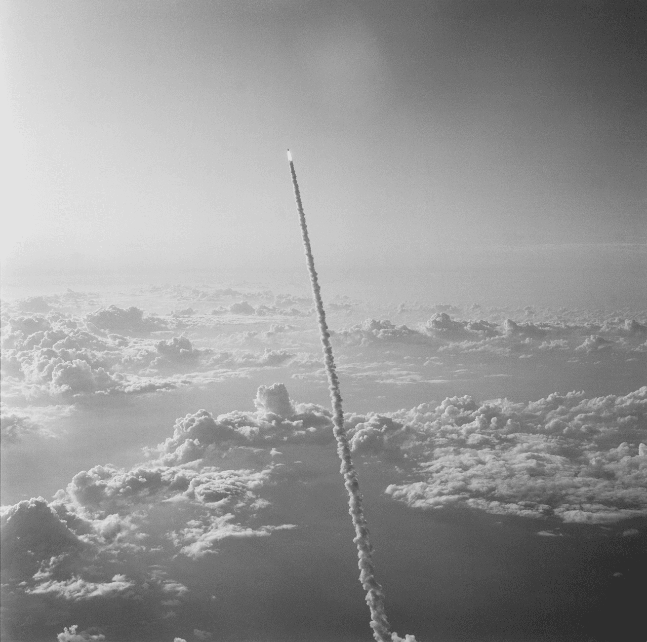 Process workflow visualization